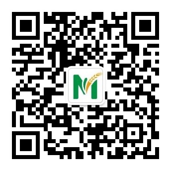 微信公众号